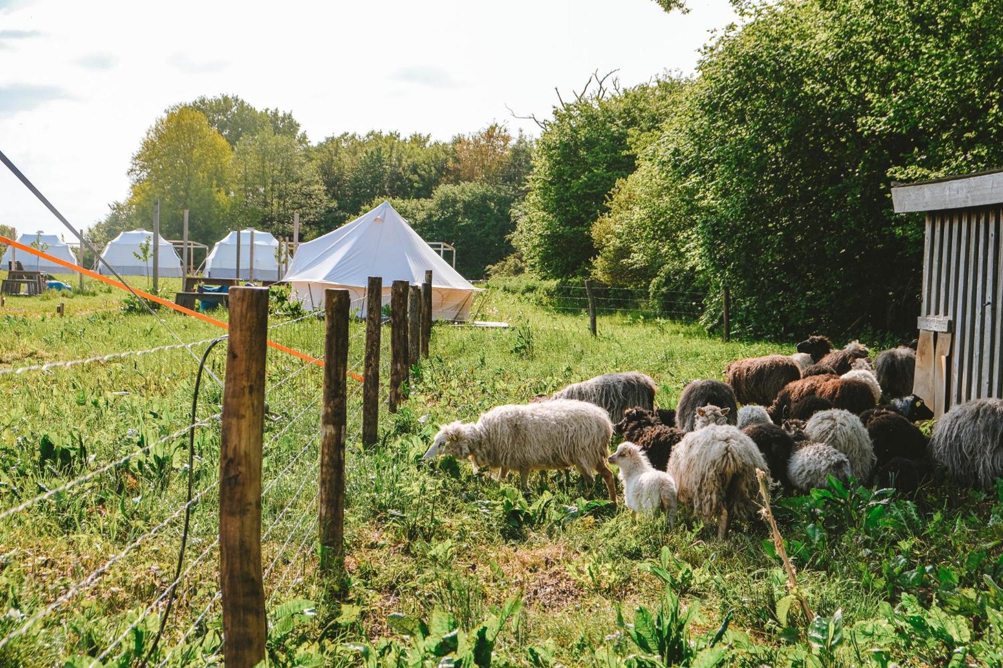 Domo Camp - Nature Glamping Hof Viehbrook Hotel Rendswuhren Екстериор снимка